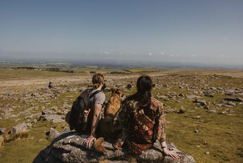 A little further afield, you'll reach the stunning landscape of Dartmoor National Park.