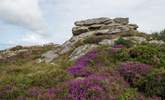 This is the Black Rock. A true historic local land mark. You can walk up to Black Rock from Kerenza. - Thumbnail Image