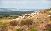 The view out towards St Ives. - Thumbnail Image