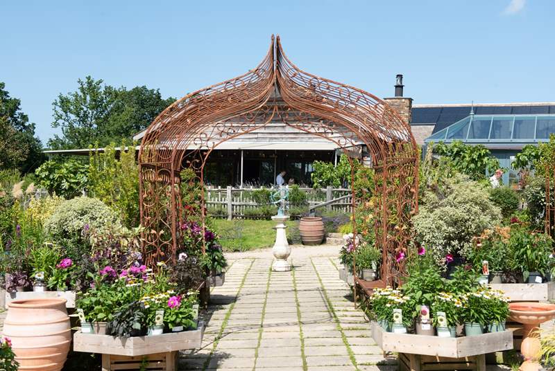 The nursery has a great selection of plants and a wonderful shop and whilst there indulge in some tasty treats at The Cafe or Orangery - you won't be disappointed.