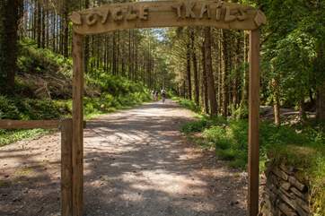 Explore the delights of Cardinham Woods either on foot or two wheels.