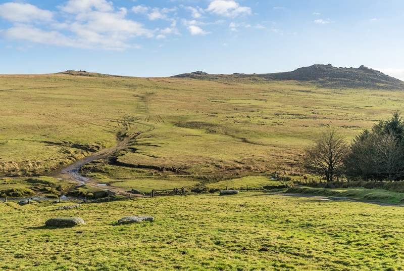 Explore the dramatic open landscape of Bodmin Moor.