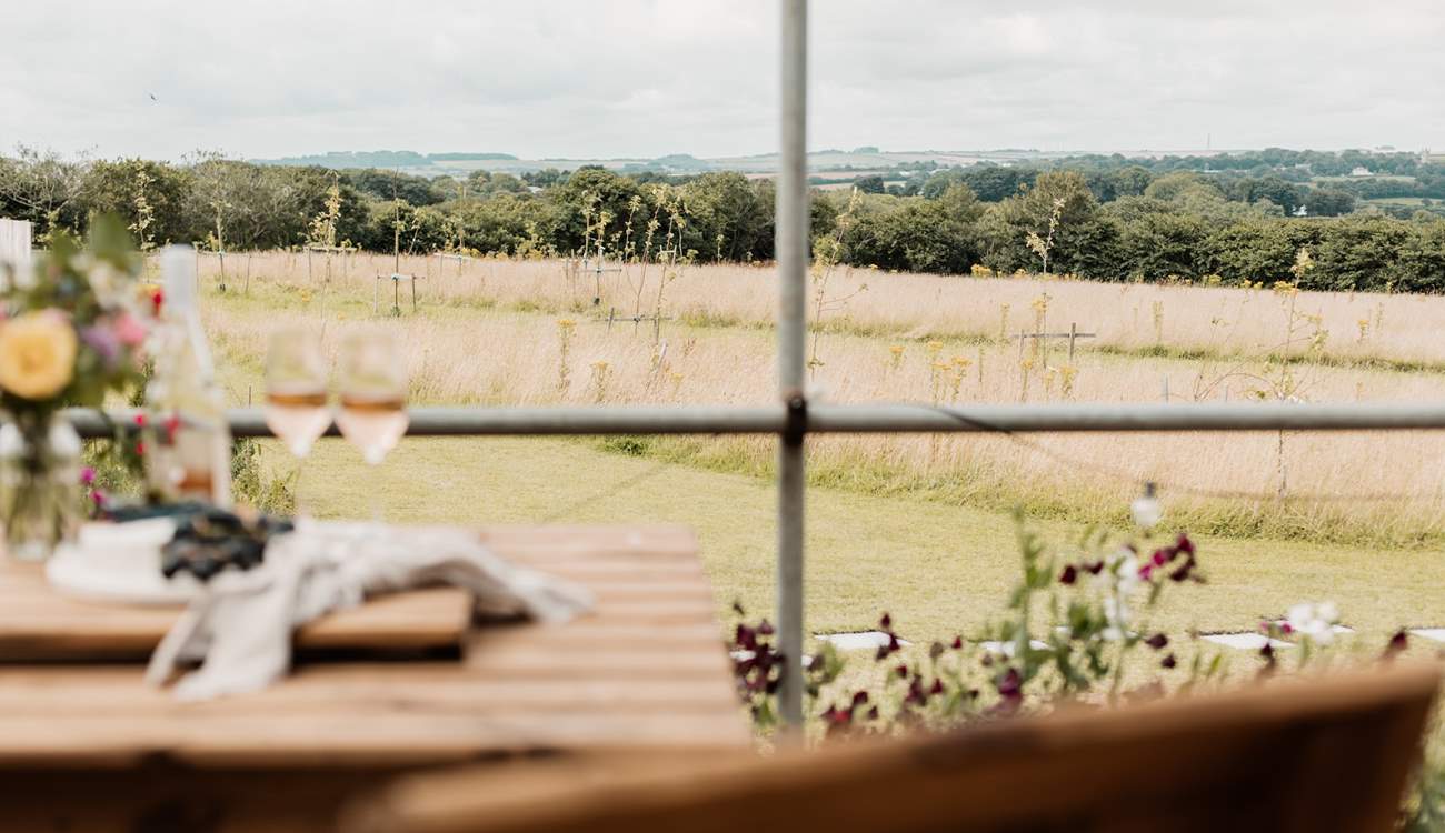 The meadow that surrounds the hideaway is truly tranquil. 