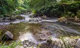 Follow the River Lyn down to Lynmouth! - Thumbnail Image