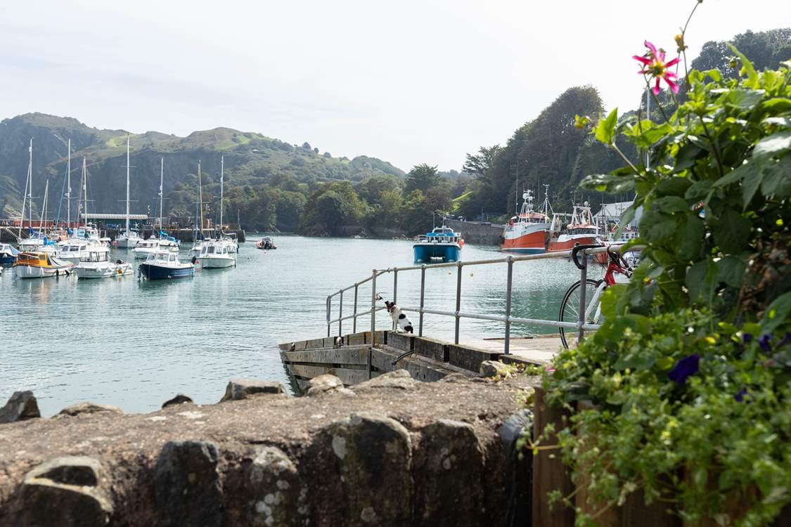 Hop on a boat and head out!