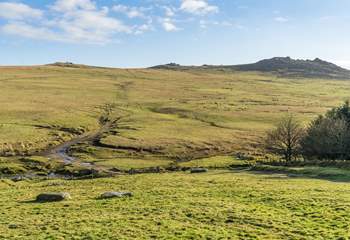 Explore the dramatic open landscape of Bodmin Moor.