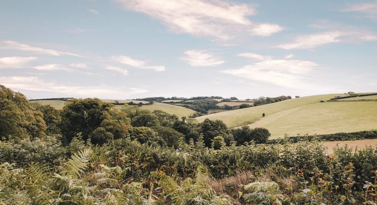 Settled within the gentle rolling hills of rural south Devon.