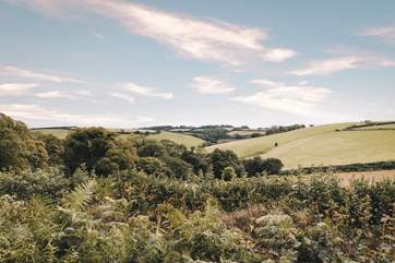 Settled within the gentle rolling hills of rural south Devon.