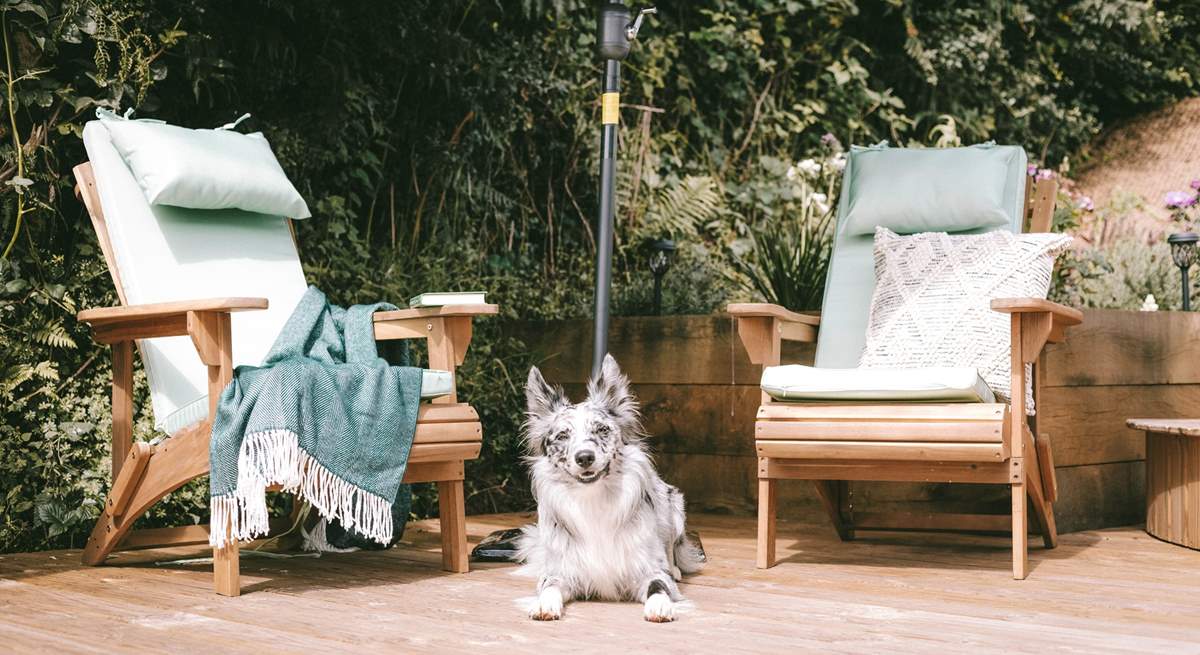 Harvest Hut warmly welcomes your four-legged companion.