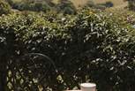 The perfect spot for your morning brew or afternoon tipple!