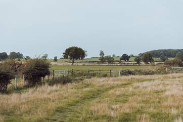 Walkers will love this location.