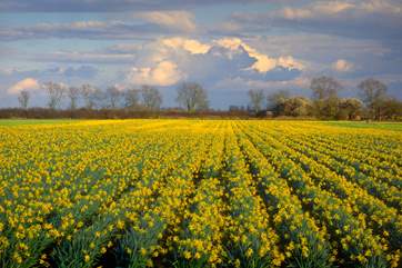 The Sheriff is nestled in the heart of Lincolnshire's countryside. Pack your walking boots and get ready to explore this special corner of the UK.