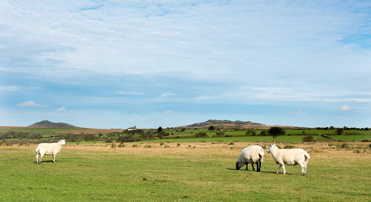 Animals roam freely around the moors.