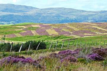 The stunning heather moorlands promise scenes out of a storybook.