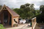 Welcome to Cwt Elsi, our hideout in beautiful north Wales.
