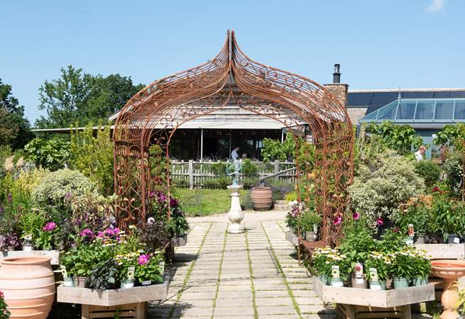 The nursery has a wonderful shop and why not enjoy a treat at The Cafe or Orangery.