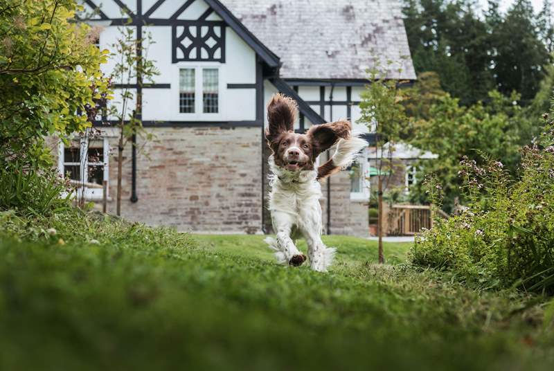 At Penlyne you will find some secure garden areas, perfect for your four-legged friend.
