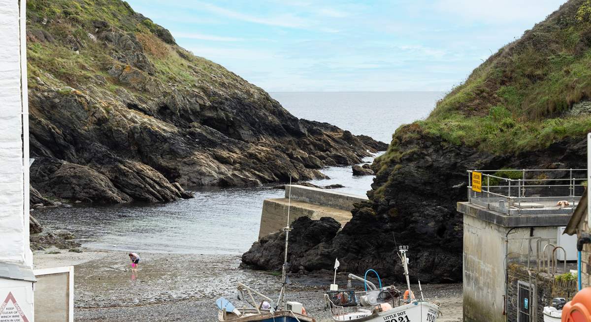 Wander down to the harbour and take in the sea air. 