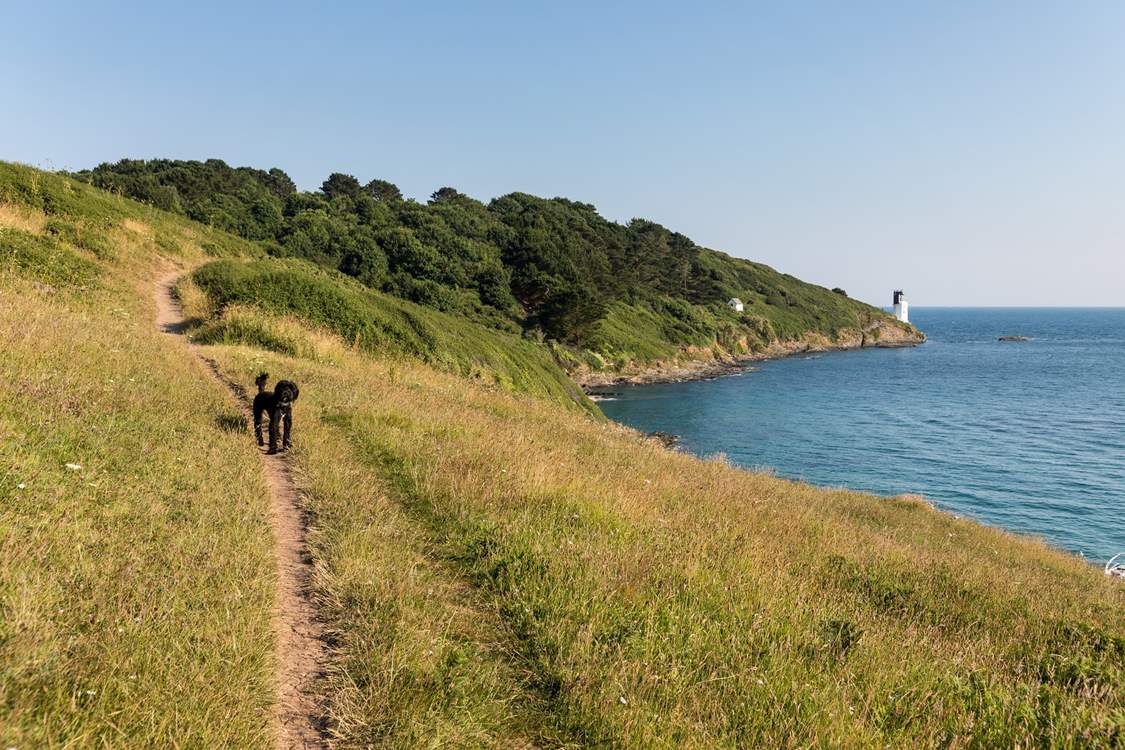 Enjoy walks along the South West Coast Path.