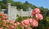 Caerhays Castle and Gardens. - Thumbnail Image