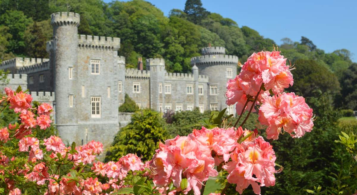 Caerhays Castle and Gardens.