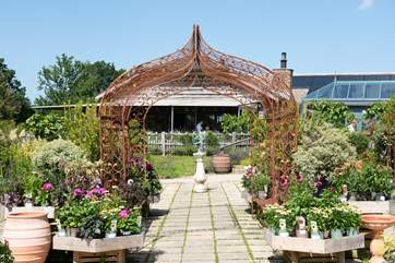 The nursery has a wonderful shop and whilst there indulge in some tasty treats at The Cafe or Orangery - you won't be disappointed.