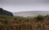 Moorland heather with The Blue Hemmel sitting romantically in the mist.  - Thumbnail Image