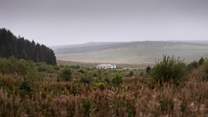 Moorland heather with The Blue Hemmel sitting romantically in the mist. 