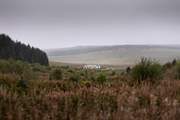 Moorland heather with The Blue Hemmel sitting romantically in the mist.
