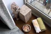 Dogs are well catered for!