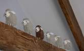 The fluffy sheep watch from on high. - Thumbnail Image