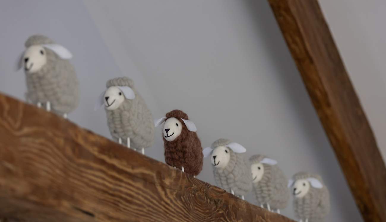 The fluffy sheep watch from on high.