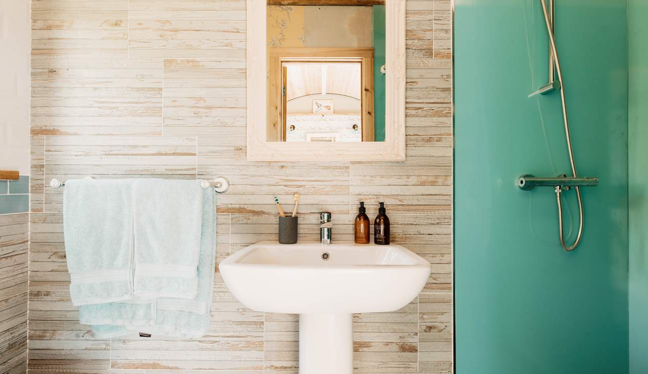 The beautifully presented shower-room sits to the right of the cabin. 
