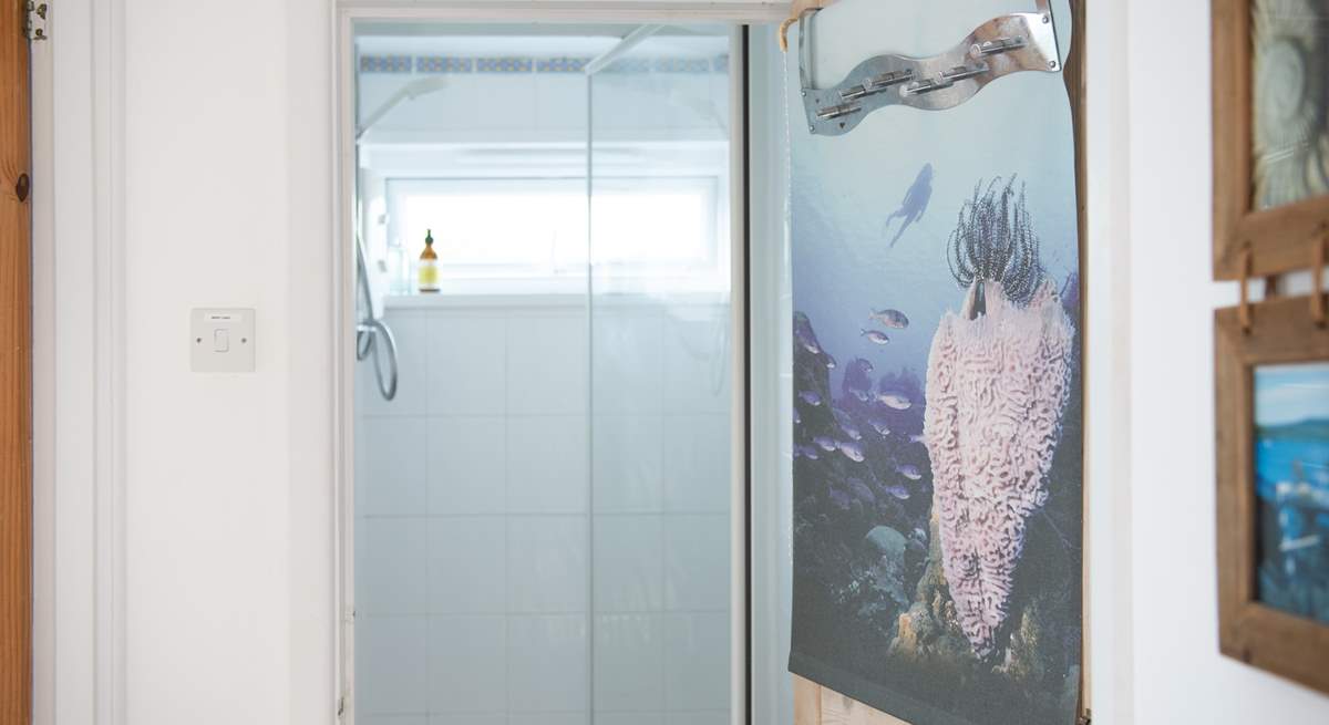 There is a cute tiny cupboard shower next to the single bedroom on the first floor.