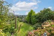 An array of beautiful plants to enjoy within the garden.