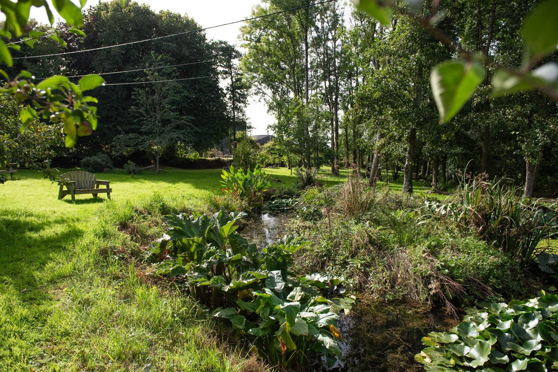 The orchard has a pond, so please take care and supervise children and dogs. 