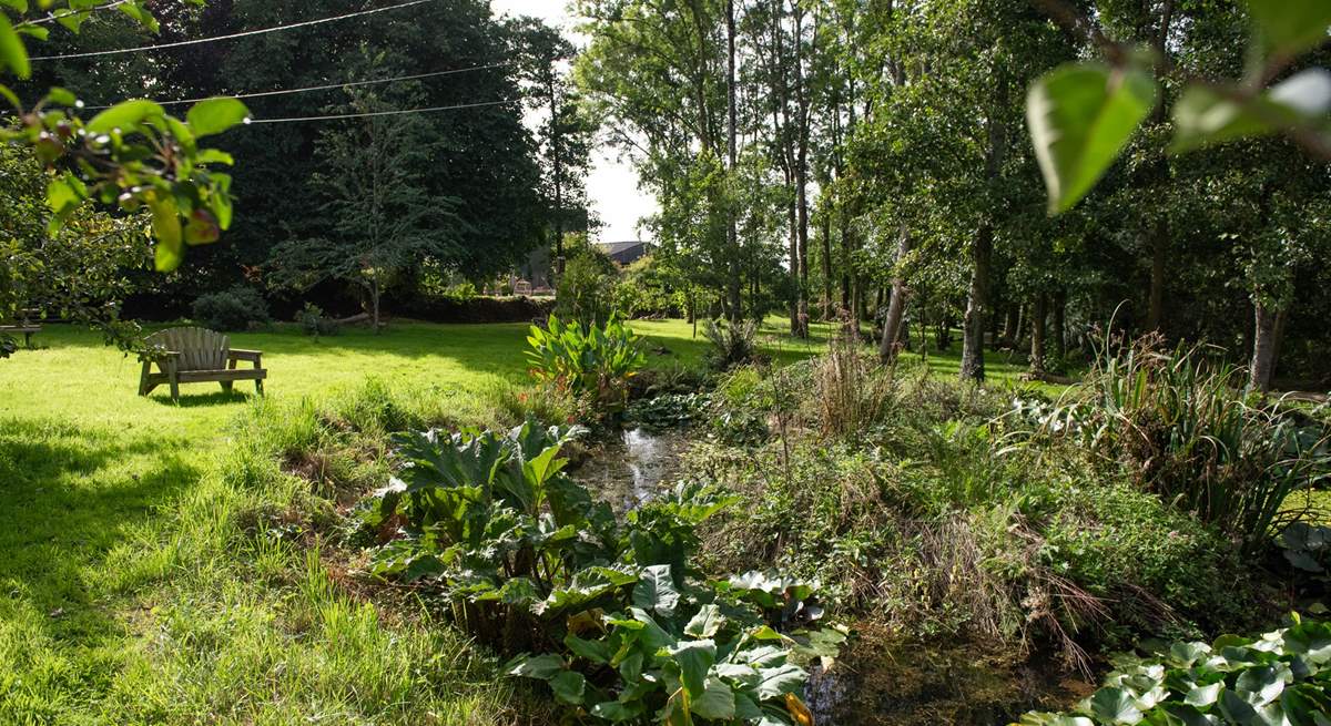 The orchard has a pond, so please take care and supervise children and dogs. 