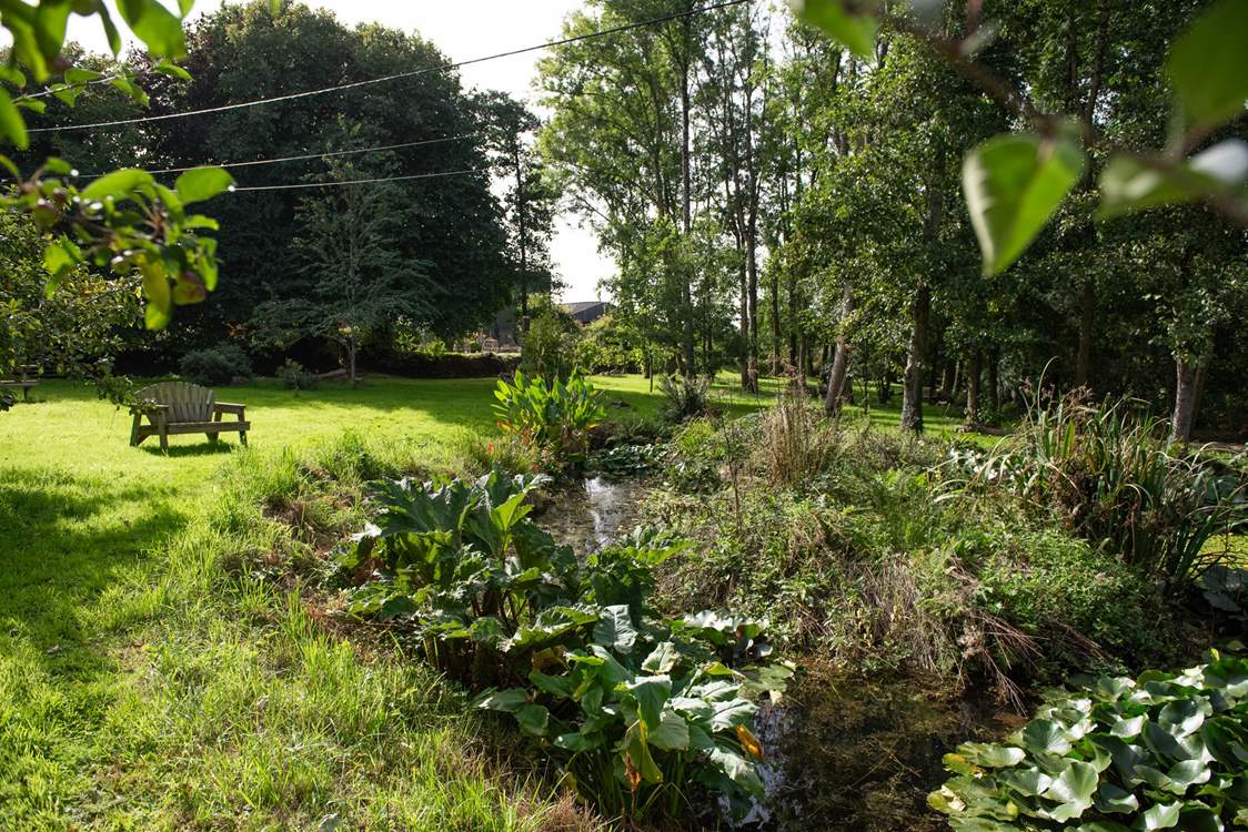 The orchard has a pond, so please take care and supervise children and dogs.