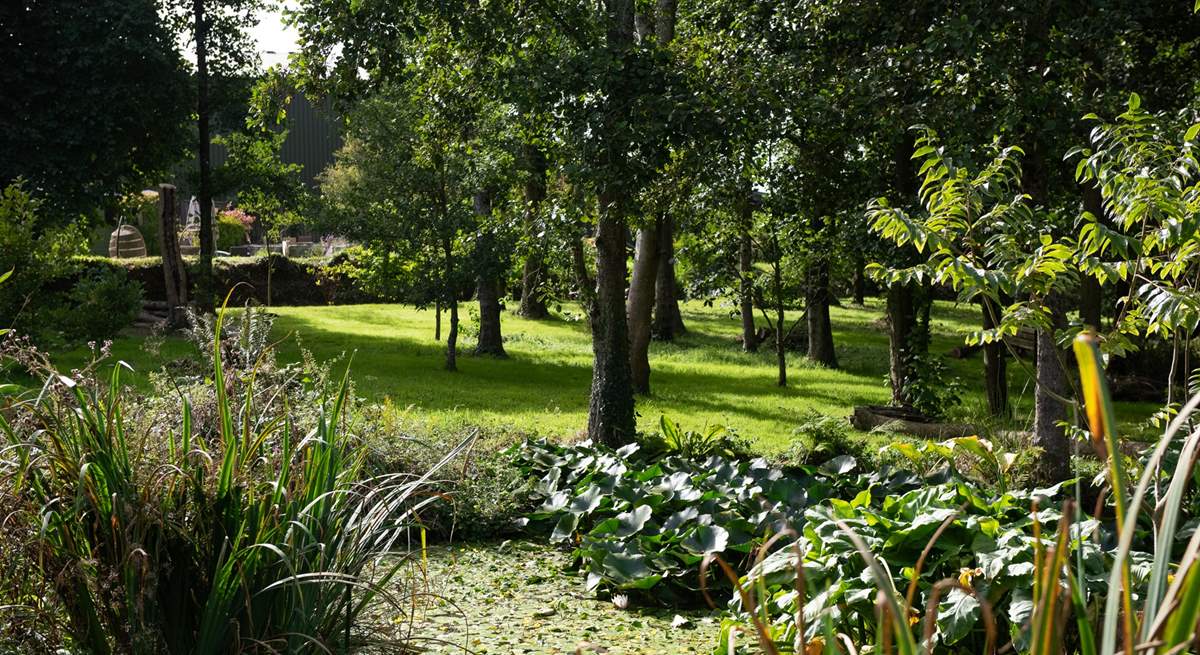 The tranquil communal orchard with pond, is the perfect spot to take a hot drink, sit and enjoy the sound of the morning bird song.