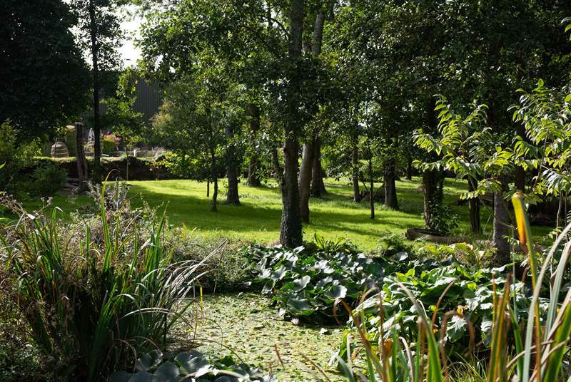 The tranquil communal orchard with pond, is the perfect spot to take a hot drink, sit and enjoy the sound of the morning bird song.