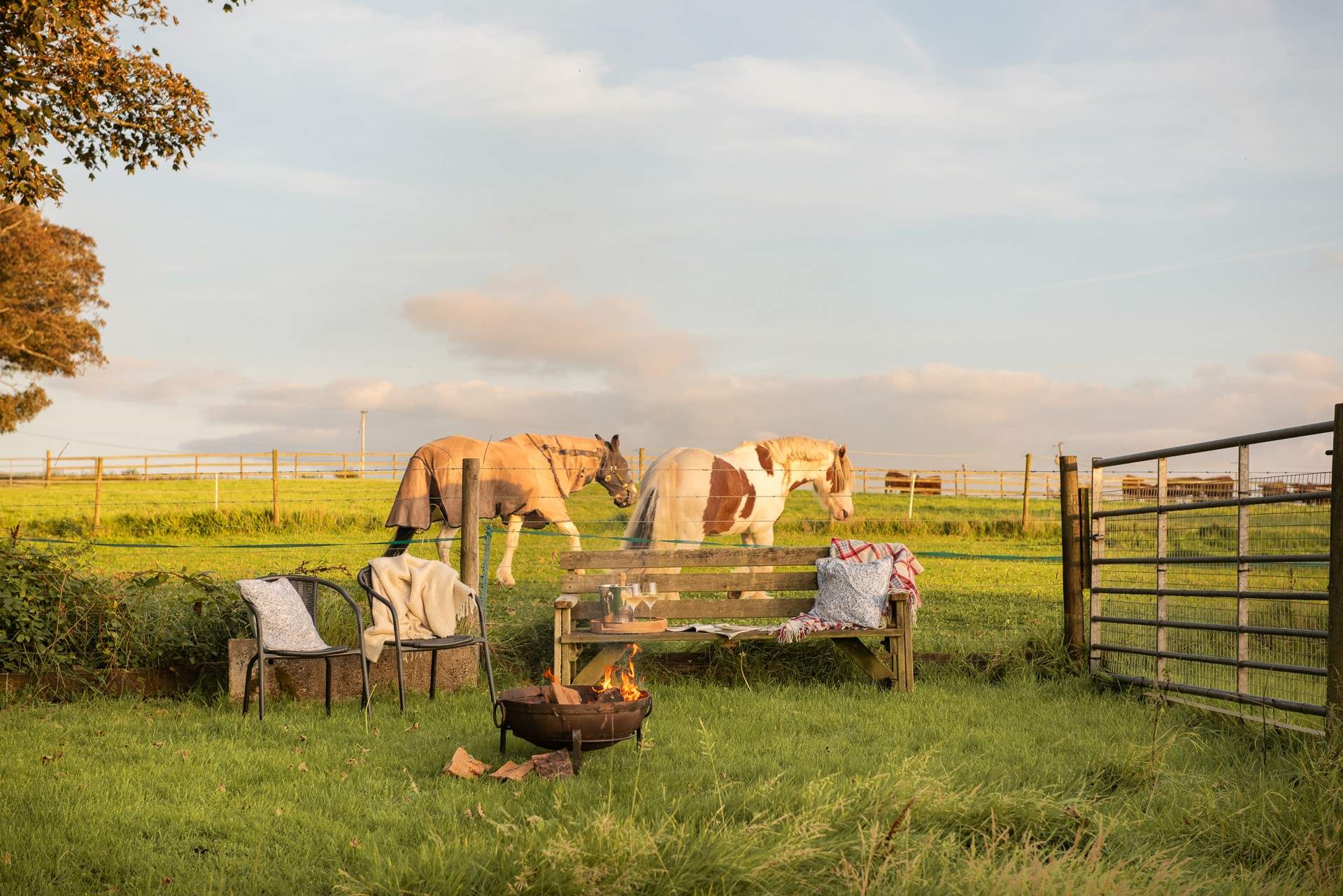 Your friendly neighbourhood horses who might come up to the fence and say hello.