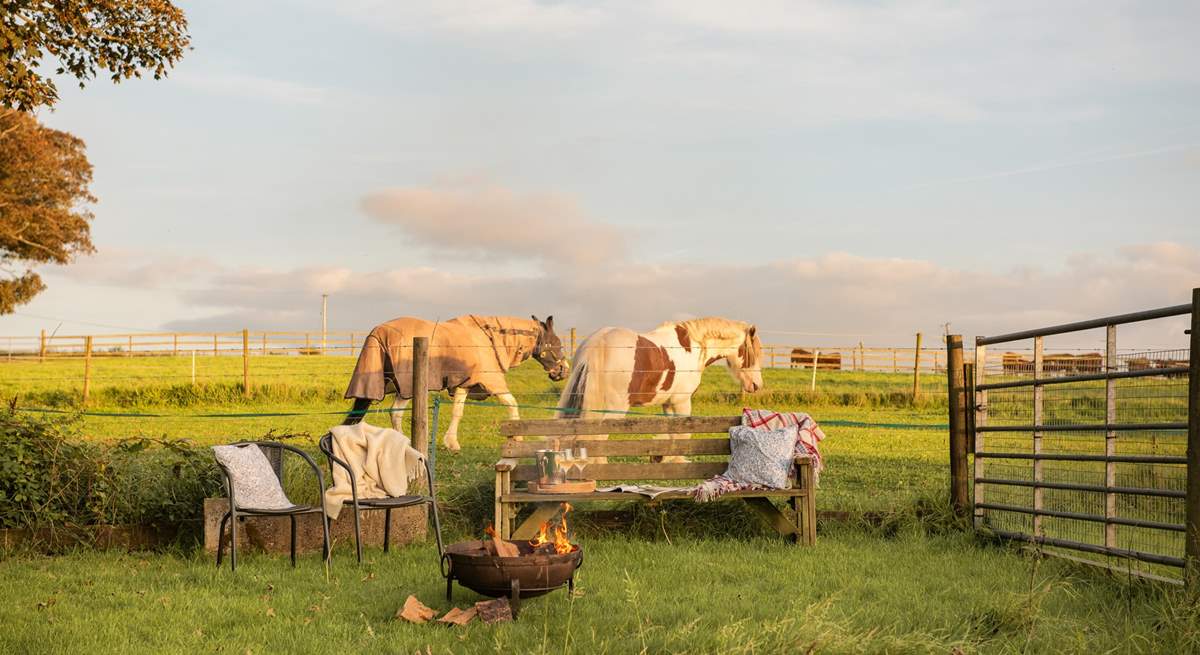 Your friendly neighbourhood horses who might come up to the fence and say hello.