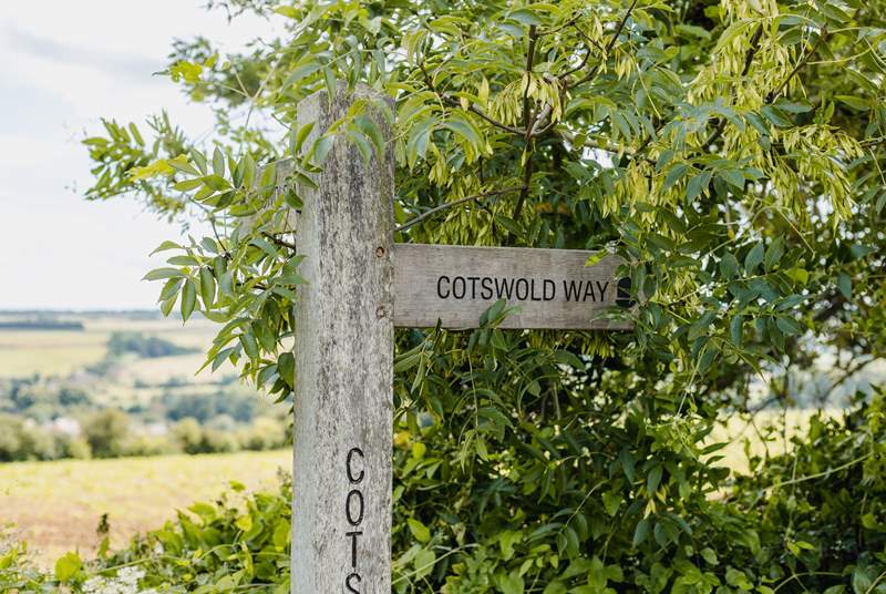 One of many stunning walks in the Cotwolds, perfect for dog lovers.