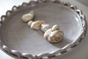 Those special holiday shells and pebbles that everyone collects during a family beachside holiday.