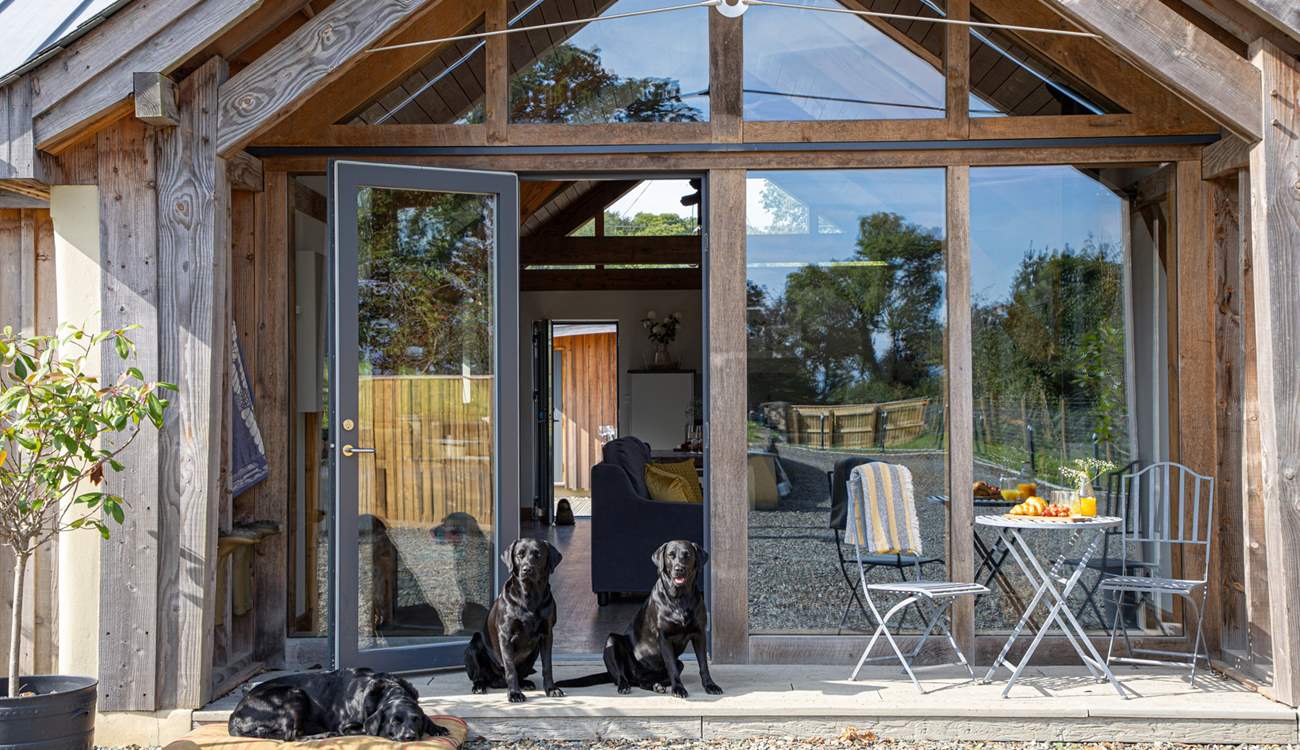 Your trusted friends will never want to leave!