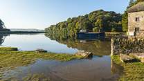 Enjoy at day on the Cothele Estate, one of the many National Trust properties you can plan a visit to.
