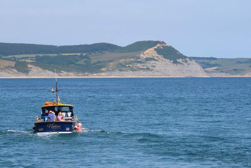 Take a boat trip from Lyme Regis - only a forty minute drive away.