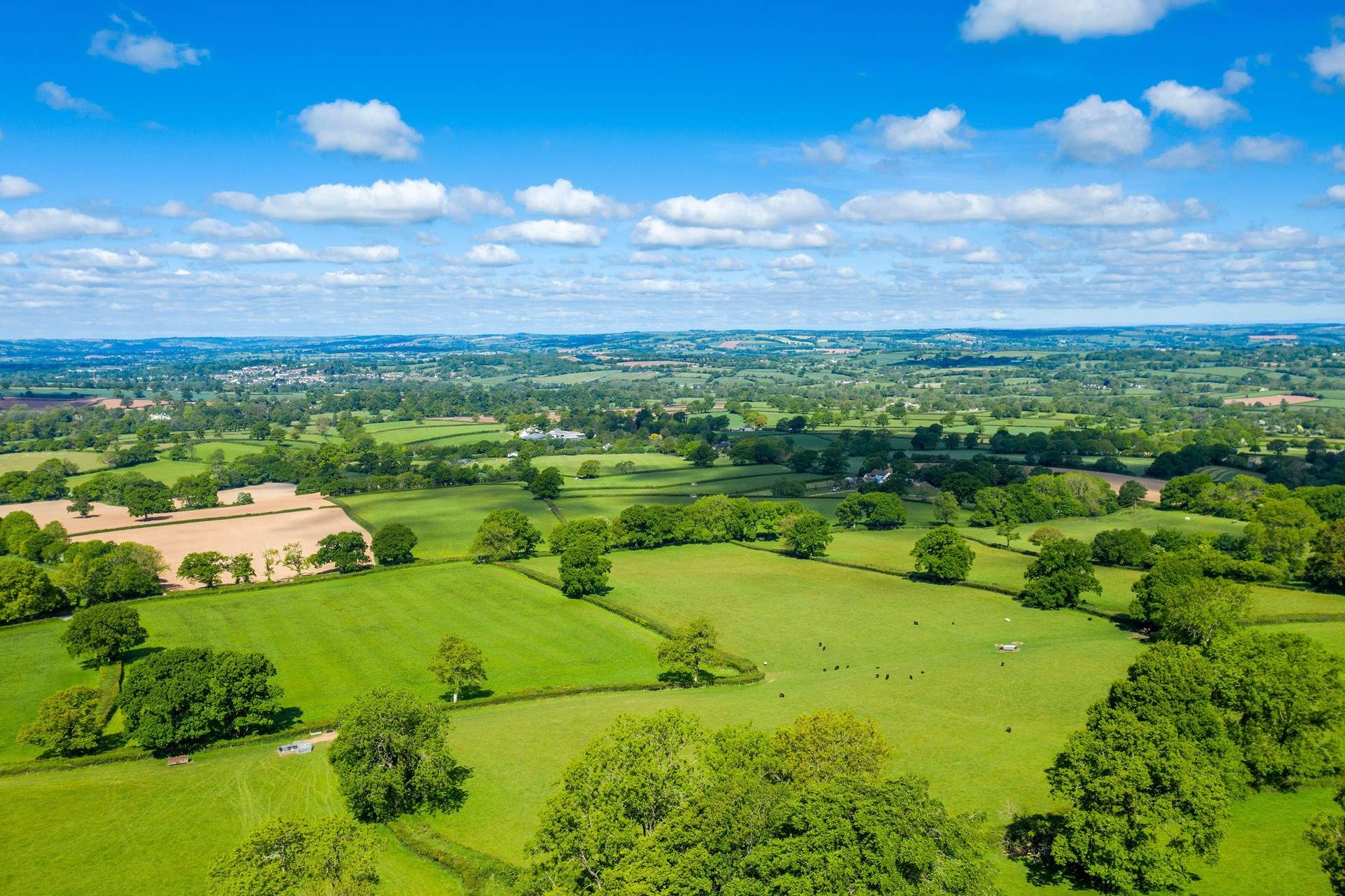 The Blackdown Hills are a walker's paradise.