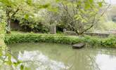 The pond can be part of your morning stroll. - Thumbnail Image