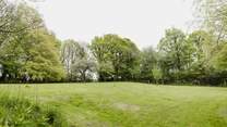 The pretty orchard.